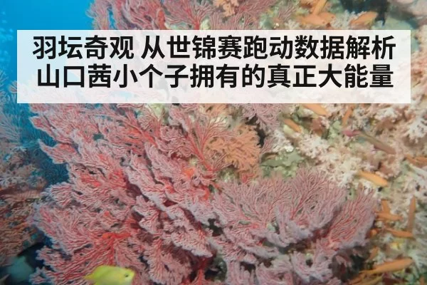 羽坛奇观 从世锦赛跑动数据解析山口茜小个子拥有的真正大能量