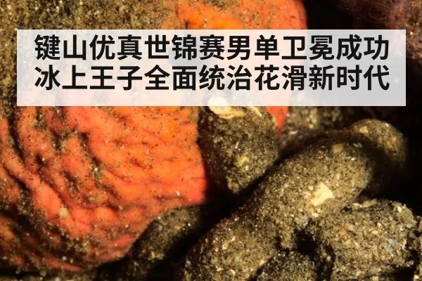 键山优真世锦赛男单卫冕成功冰上王子全面统治花滑新时代